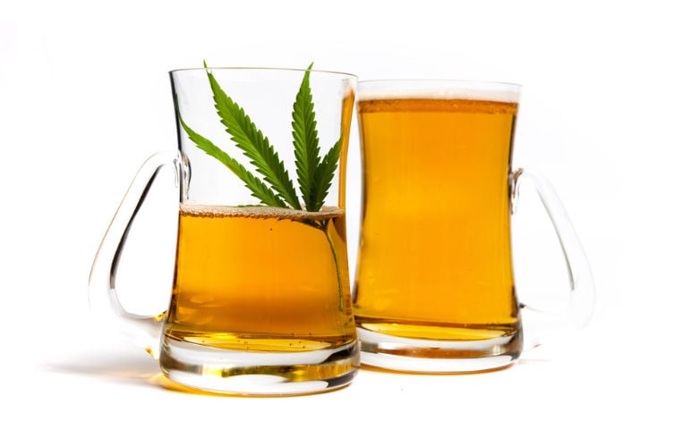 Cannabis and Beer: Hosting the Perfect Tasting Party