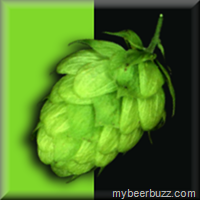 NEW mybeerbuzz.com Page on Facebook–Come LIKE Me Now!