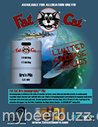 The Fat Cat Beer Company Announces San Diego Brewing Alliance and Its Limited Release Series Program