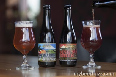 Double Mountain Releasing Kriek Bottles