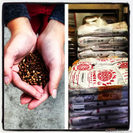 Ninkasi – Emilie’s Education Series: Malt