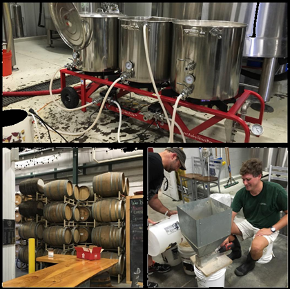Terrapin & Southbound Collaborating On Mango Wit Beer