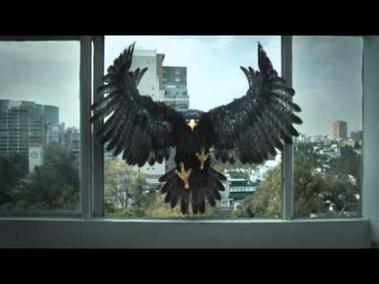Tecate Light Unleashes The Black Eagle With New "Born Bold" TV & Digital Campaign
