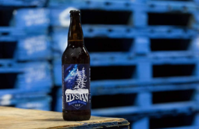 Elysian Announces Return of Bifrost