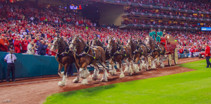 Anheuser-Busch Celebrates Budweiser’s 140th Anniversary At The Congressional Baseball Game