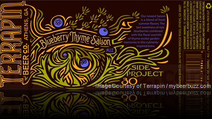 Terrapin Side Project # 30 – Blueberry Thyme Saison Ale 500ml Bottles