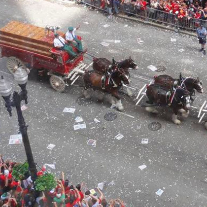 Budweiser Invites America to View Cubs World Series Parade from Clydesdales’ Point of View