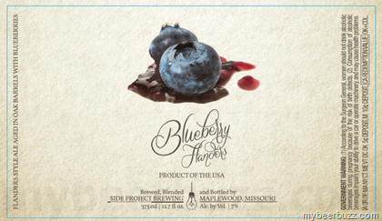 Side Project Brewing – Blueberry Flanders
