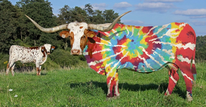 SweetWater Beer Begins Hitting Austin/DFW Texas Markets Next Week