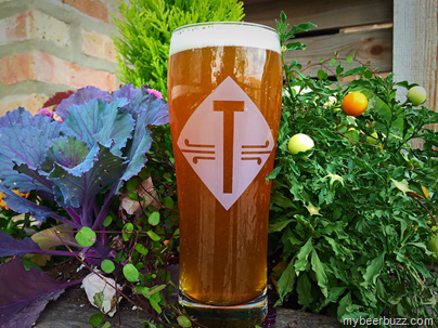 Temperance Beer – Lemon Gatecrasher