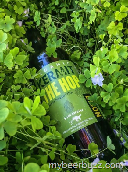 Get Lucky with Bison Brewing Kermit The Hop