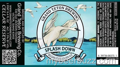 Grand Teton – Splash Down Belgian-Style Golden Ale