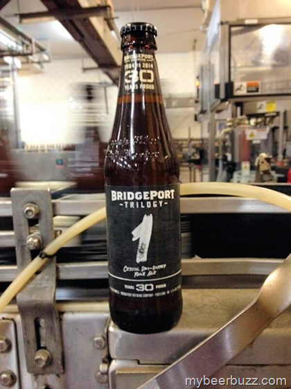 BridgePort Trilogy Series 1 Releasing Today