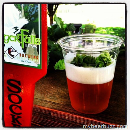 Sockeye Brewing Testing 3 New Idaho Hop Varieties