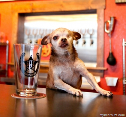 City Star Brewing Hosts Event to Help Stop Puppy Mills