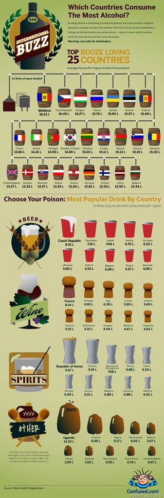 Which Countries Consume the Most Alcohol (Infographic)