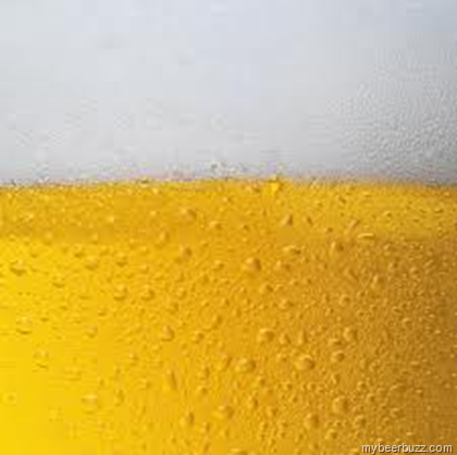 American Beer Industry Contributes $246.6 Billion To U.S. Economy