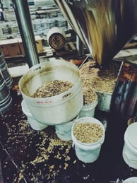 Epic Brewing Breaking Baptist – The 2017 Season