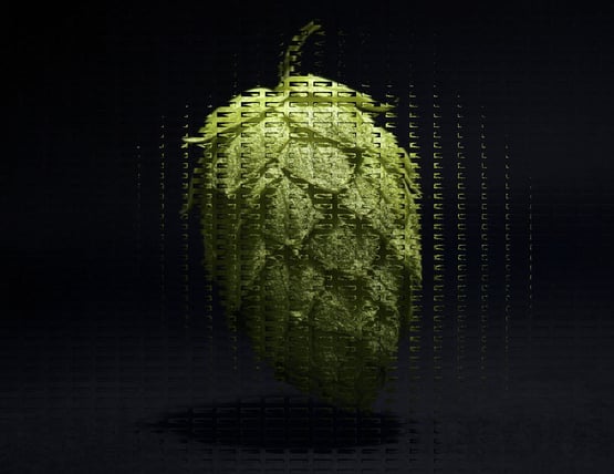 Mybeerbuzz Overhauling Hop Cone graphic
