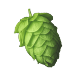 mybeerbuzz news 512px White Logo
