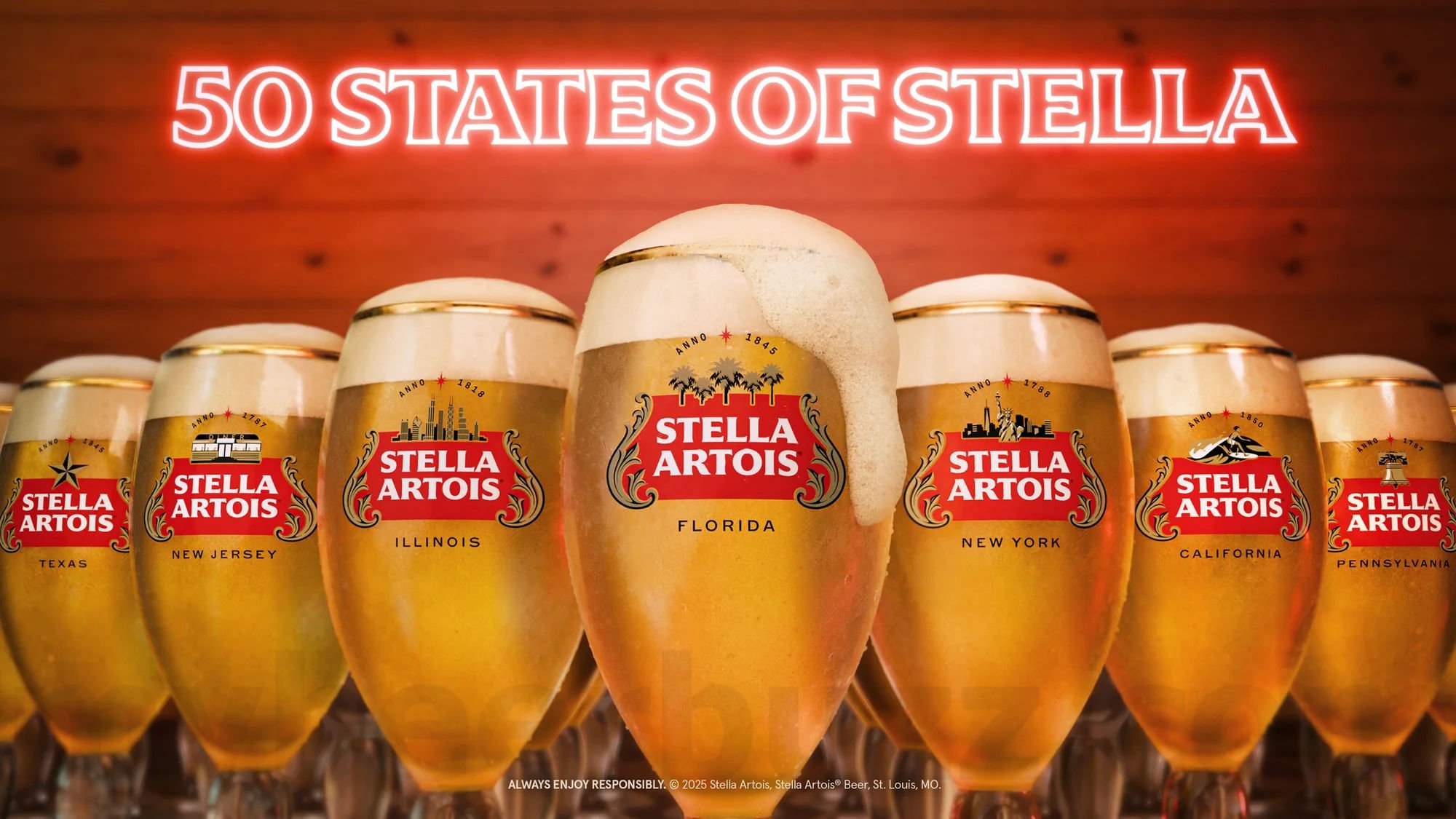 50 States Of Stells