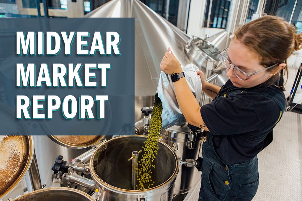Brewers Association 2025 Midyear Report: Headwinds Persist, but So Do Successes