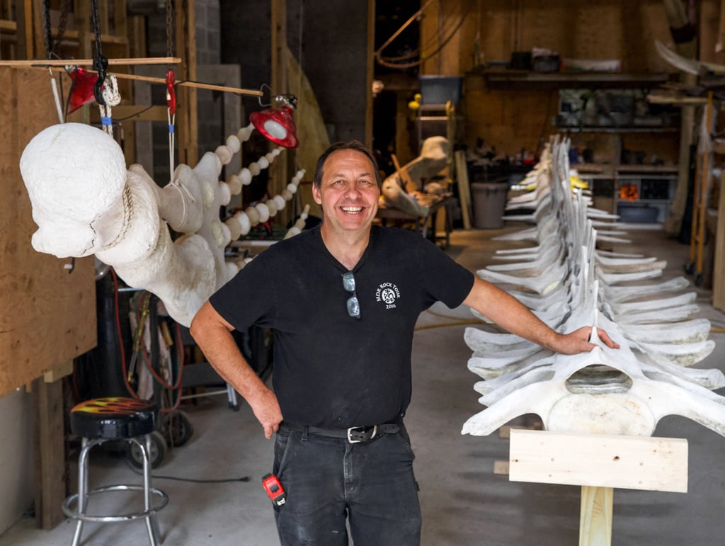 Maine Beer Unveils 49 Foot Whale Skeleton On Taproom Ceiling