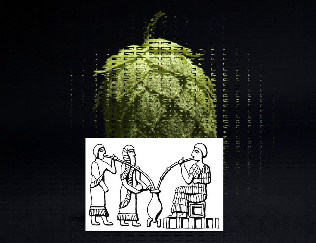 How Beer Built Civilizations: The Role of Beer in Ancient Economies, Religion, and Daily Life