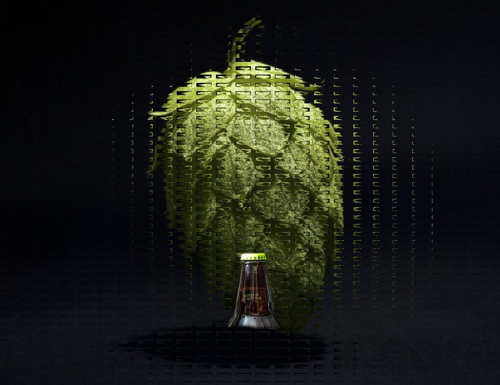 What to Do with Old Beer: Creative, Practical, and Surprising Uses