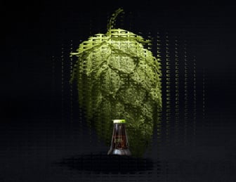 What to Do with Old Beer: Creative, Practical, and Surprising Uses