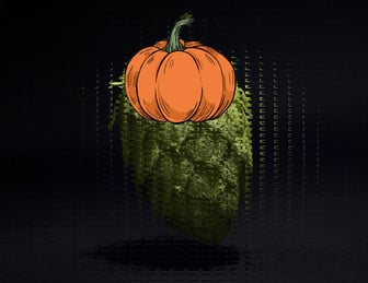 The Ultimate Guide to Seasonal Beers: Pumpkin Ales, Winter Warmers, and Summer Lagers