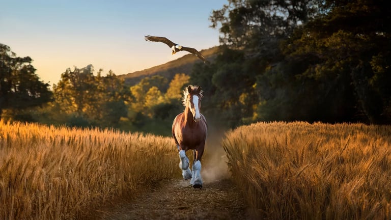 Budweiser Celebrates 150-Year Legacy in New Super Bowl LX Ad, “American Icons”