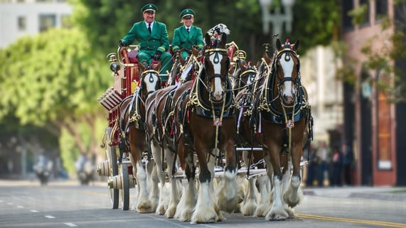 Budweiser Celebrates 150th Anniversary and America’s 250th