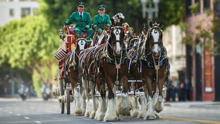 Budweiser Celebrates 150th Anniversary and America’s 250th