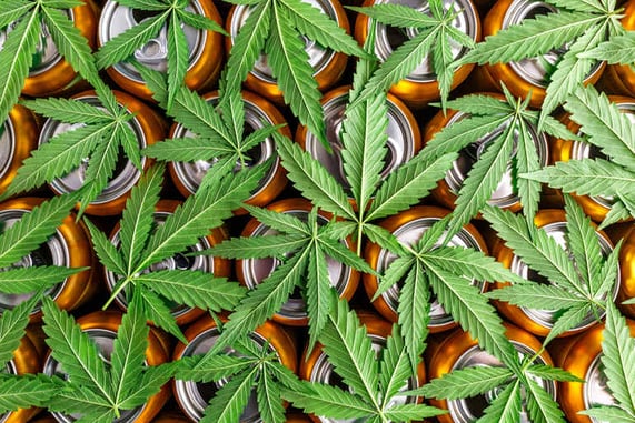 Cannabis leaves covering aluminum beverage cans, illustrating the growing trend of beer drinkers switching to THC-infused drinks.