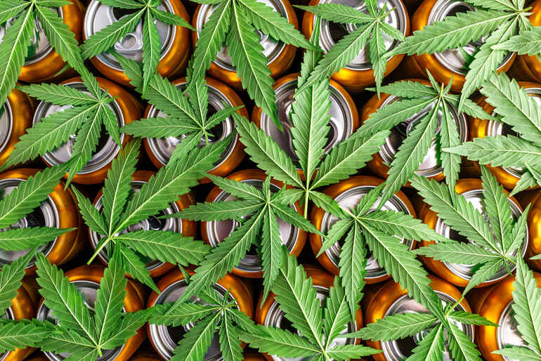Cannabis leaves covering aluminum beverage cans, illustrating the growing trend of beer drinkers switching to THC-infused drinks.