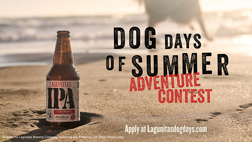 2026 Lagunitas Dog Days Of Summer Contest
