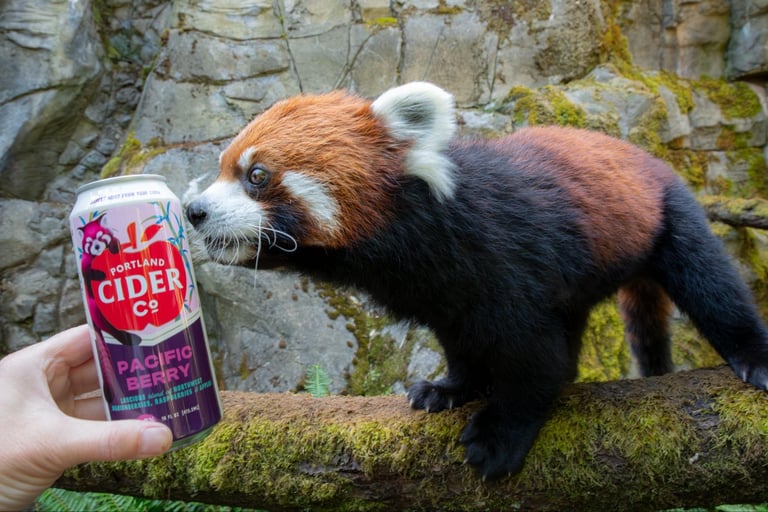 Portland Cider Co. Welcomes Oregon Zoo’s New Red Pandas With Special-Edition Pacific Berry