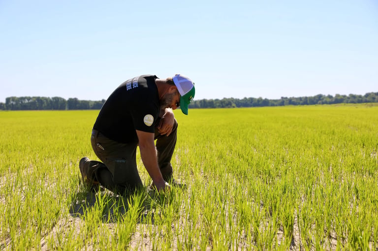 Anheuser-Busch Grants $200,000+ to Support Rice Research