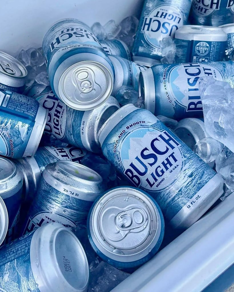 What Are Domestic Beers? Popular American Brands Explained 17 A cooler full of Busch Light beer