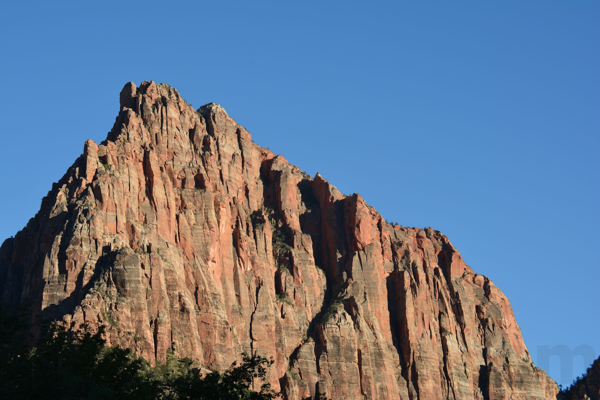 Zion National Park The Watchman