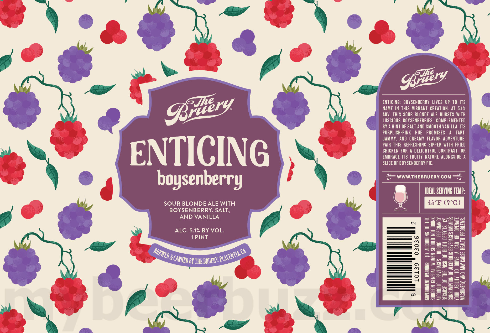 The Bruery Adding Enticing Boysenberry & So Radler Valencia Orange