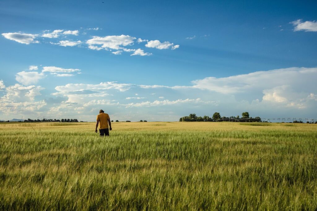 Root Shoot Malting at the Forefront of Regenerative Agricultural Practices