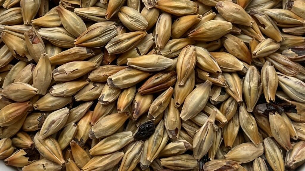 New Crystal 50 Malt Is The Darkest Offering Yet At Riverbend Malt House