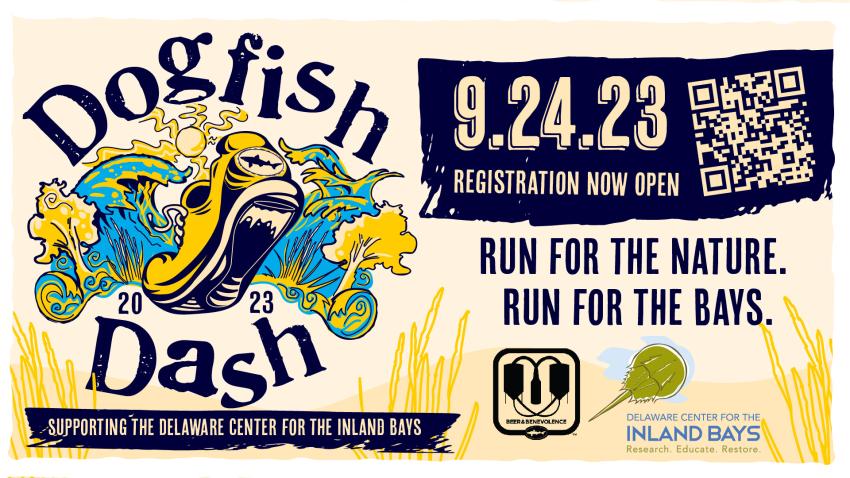 Dogfish Head Announces Dogfish Dash 2023 Details