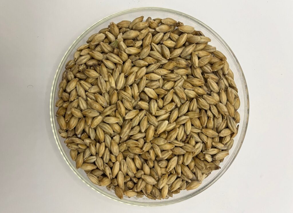 Riverbend Malt House Unveils Terroir With Speakeasy Malt For Distillers