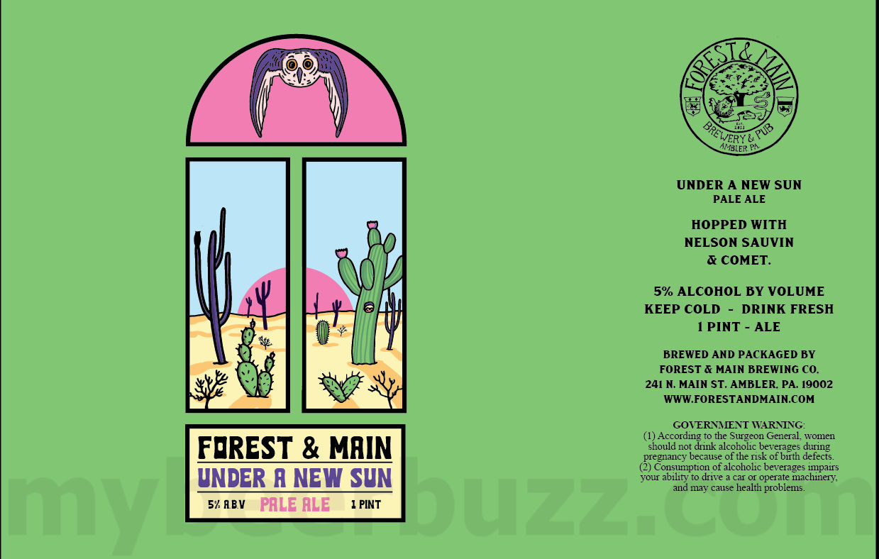 Forest & Main Adding Under A New Sun, The Visitor and Paper King