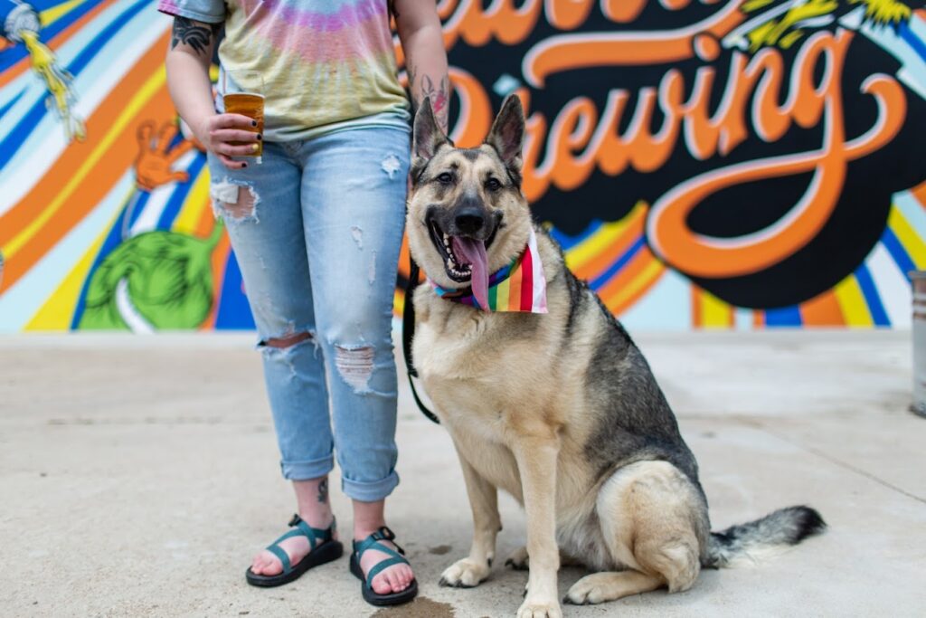 Kick Off Your Summer at Lakewood Brewing’s Vendor Market Featuring Live Music from School of Rock Plano