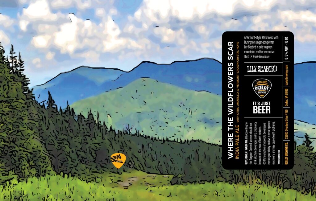 Ocelot & Lilly Seabird Collaborate On Where The Wildflowers Scar