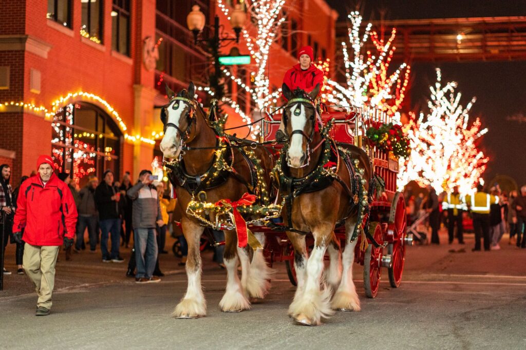 Anheuser-Busch’s Brewery Lights Return for the Holidays